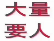 上海夜场招聘-上海礼仪招聘日结算专注高端卓越之才快来报到